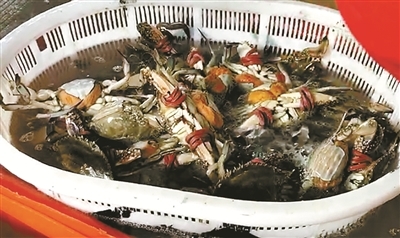 宁波发文规范蟹类捆扎销售行为 捆扎物不得超单体总重5%