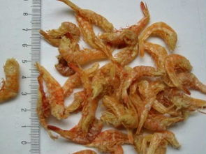 鹰爪虾怎么做好吃,辣炒鹰爪虾的家常做法